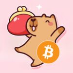 きゅぴー